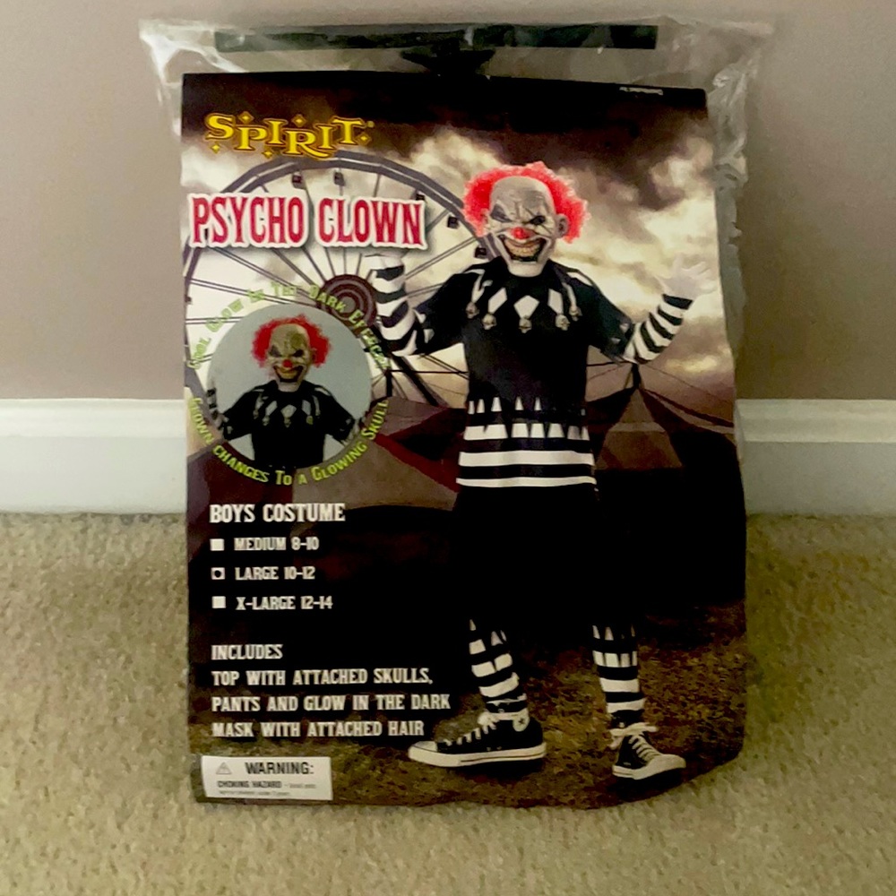 Boys Psycho Clown Costume